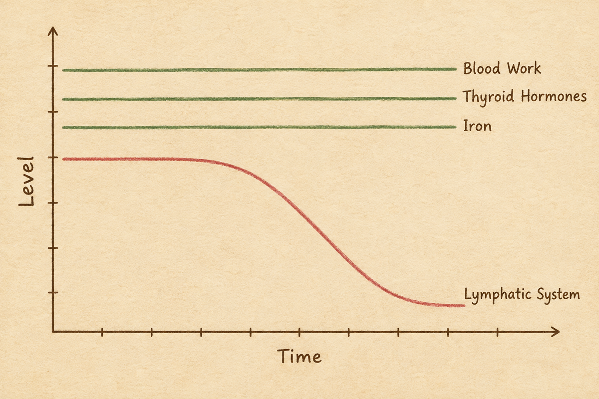 Chart: blood work, thyroid and iron stay level while the lymphatic system declines.