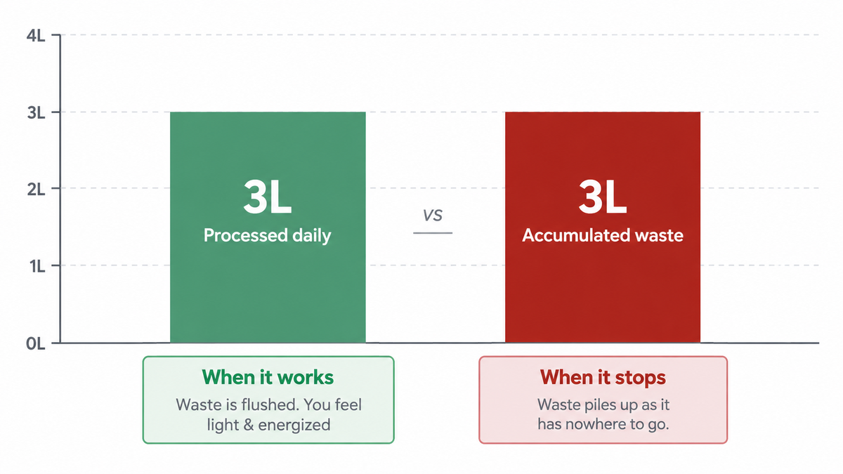 Chart: 3 litres of fluid processed daily versus 3 litres of accumulated waste.